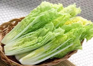 京東進軍蔬菜領域 重塑品質標準，超越有機蔬菜的革新之路