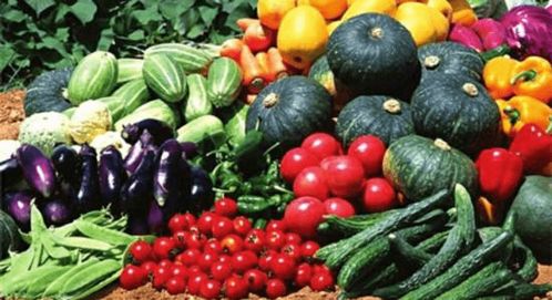 農業農村部關于修訂完善農產品質量安全法健全蔬菜食品安全源頭保障機制建議的答復